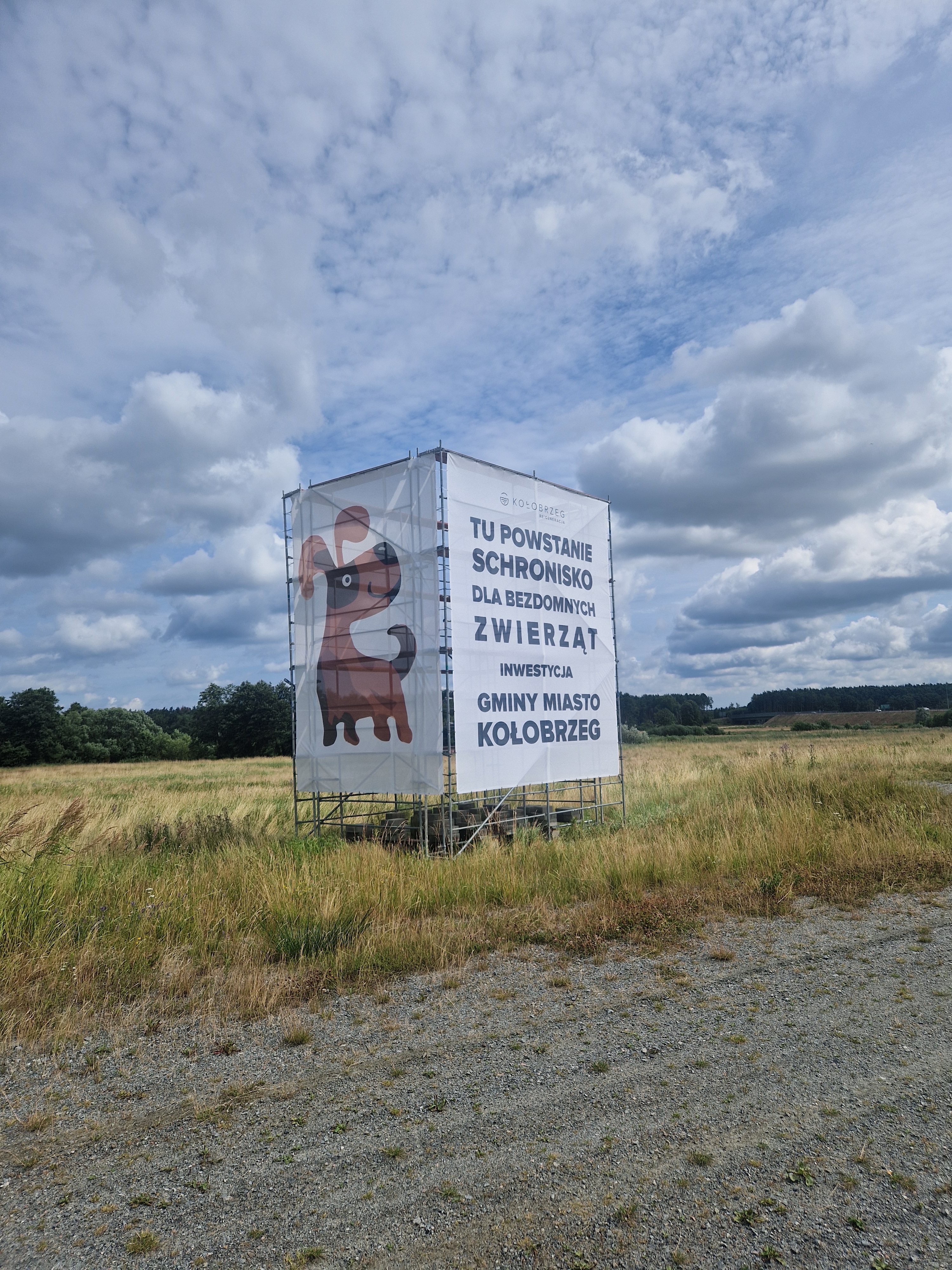 Spotkanie w sprawie schroniska dla zwierząt